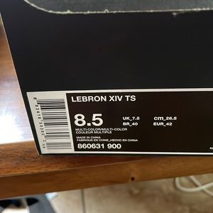 Mens Lebron XIV TS